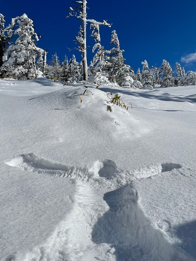 Snow Angel（八ヶ岳）